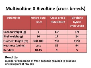 Lecture 8 Types of silk worm.pptx