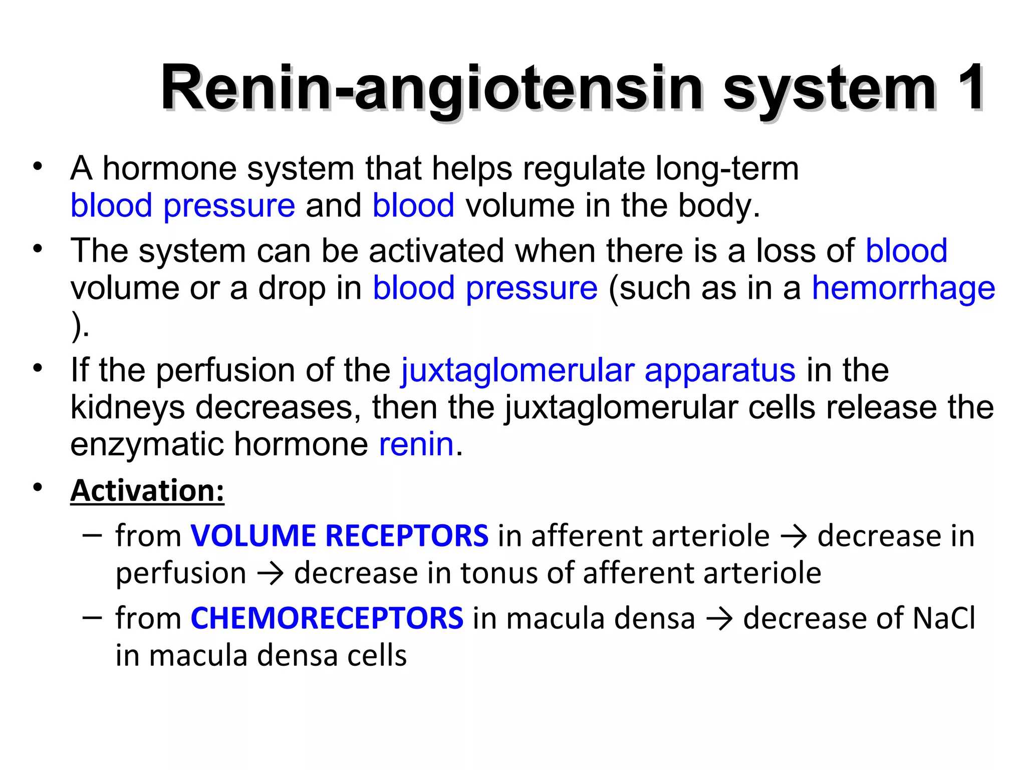 RReenniinn--aannggiiootteennssiinn ssyysstteemm 11 
• A hormone system that helps regulate long-term 
blood pressure and blood volume in the body. 
• The system can be activated when there is a loss of blood 
volume or a drop in blood pressure (such as in a hemorrhage 
). 
• If the perfusion of the juxtaglomerular apparatus in the 
kidneys decreases, then the juxtaglomerular cells release the 
enzymatic hormone renin. 
• Activation: 
– from VOLUME RECEPTORS in afferent arteriole → decrease in 
perfusion → decrease in tonus of afferent arteriole 
– from CHEMORECEPTORS in macula densa → decrease of NaCl 
in macula densa cells 
 