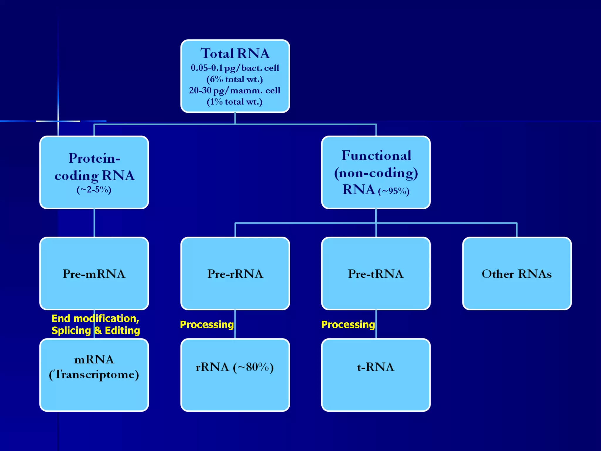 End modification,
                     Processing   Processing
Splicing & Editing
 