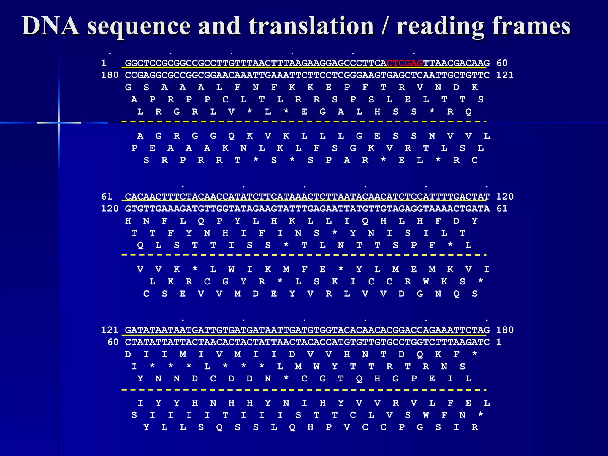DNA sequence and translation / reading frames
       .         .         .         .         .         .
      1   GGCTCCGCGGCCGCCTTGTTTAACTTTAAGAAGGAGCCCTTCACTCGAGTTAACGACAAG 60
      180 CCGAGGCGCCGGCGGAACAAATTGAAATTCTTCCTCGGGAAGTGAGCTCAATTGCTGTTC 121
          G S A A A L F N F K K E P F T R V N D K
           A P R P P C L T L R R S P S L E L T T S
            L R G R L V * L * E G A L H S S * R Q

            A      G    R      G    G      Q    K      V    K      L    L      L    G      E    S      S    N      V    V      L
           P    E      A    A      A    K      N    L      K    L      F    S      G    K      V    R      T    L      S    L
               S    R      P    R      R    T      *    S      *    S      P    A      R    *      E    L      *    R      C

                   .         .         .         .         .         .
      61 CACAACTTTCTACAACCATATCTTCATAAACTCTTAATACAACATCTCCATTTTGACTAT 120
      120 GTGTTGAAAGATGTTGGTATAGAAGTATTTGAGAATTATGTTGTAGAGGTAAAACTGATA 61
          H N F L Q P Y L H K L L I Q H L H F D Y
           T T F Y N H I F I N S * Y N I S I L T
            Q L S T T I S S * T L N T T S P F * L

            V    V K * L W I K M F E * Y L M E M K V I
                L K R C G Y R * L S K I C C R W K S *
               C S E V V M D E Y V R L V V D G N Q S

                   .         .         .         .         .         .
      121 GATATAATAATGATTGTGATGATAATTGATGTGGTACACAACACGGACCAGAAATTCTAG 180
       60 CTATATTATTACTAACACTACTATTAACTACACCATGTGTTGTGCCTGGTCTTTAAGATC 1
          D I I M I V M I I D V V H N T D Q K F *
           I * * * L * * * L M W Y T T R T R N S
            Y N N D C D D N * C G T Q H G P E I L

            I      Y    Y      H    N      H    H      Y    N      I    H      Y    V      V    R      V    L      F    E      L
           S    I      I    I      I    T      I    I      I    S      T    T      C    L      V    S      W    F      N    *
               Y    L      L    S      Q    S      S    L      Q    H      P    V      C    C      P    G      S    I      R
 
