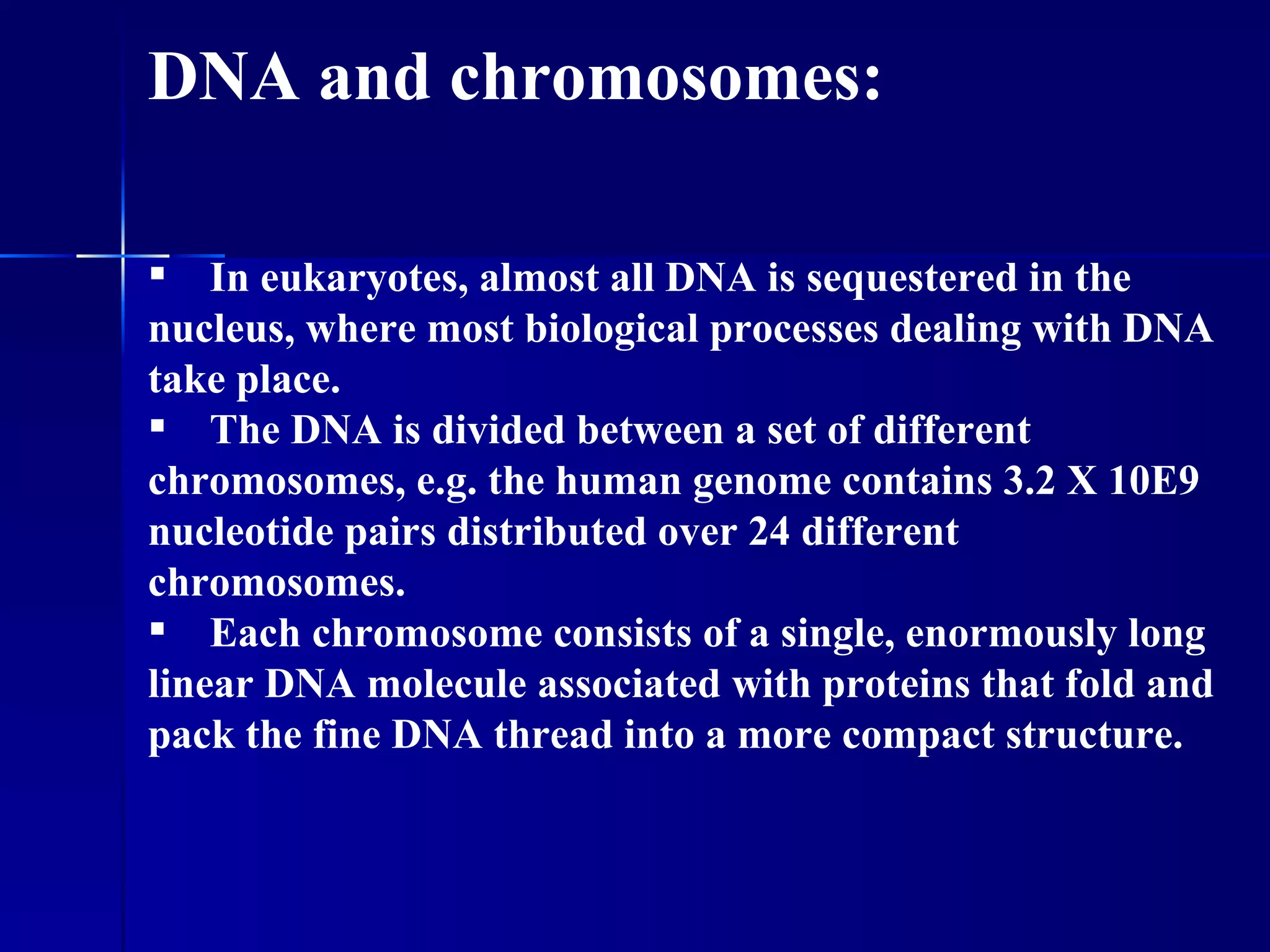 DNA and chromosomes:

 In eukaryotes, almost all DNA is sequestered in the
nucleus, where most biological processes dealing with DNA
take place.
 The DNA is divided between a set of different
chromosomes, e.g. the human genome contains 3.2 X 10E9
nucleotide pairs distributed over 24 different
chromosomes.
 Each chromosome consists of a single, enormously long
linear DNA molecule associated with proteins that fold and
pack the fine DNA thread into a more compact structure.
 