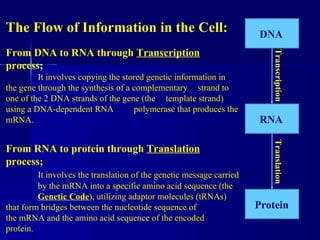 Lecture 9 10 dna-genes_chromosomes | PPT