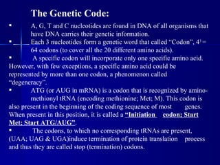 Lecture 9 10 dna-genes_chromosomes | PPT