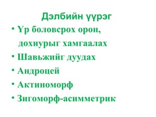 Дэлбийн үүрэг
• Үр боловсрох орон,
дохиурыг хамгаалах
• Шавьжийг дуудах
• Андроцей
• Актиноморф
• Зигоморф-асимметрик
 