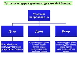 Үр тогтосны дараа үрэвчнээс үр жимс бий болдог.
 