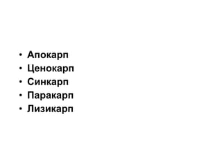 • Апокарп
• Ценокарп
• Синкарп
• Паракарп
• Лизикарп
 