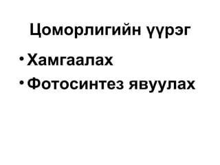 Цоморлигийн үүрэг
•Хамгаалах
•Фотосинтез явуулах
 