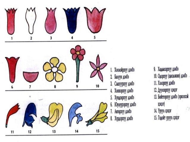 Lecture9