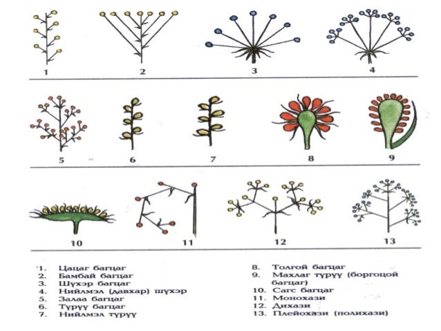 Lecture9