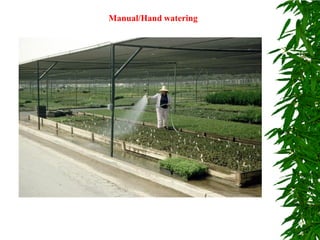 Manual/Hand watering
 