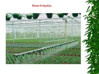 Boom Irrigation
 