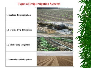 1. Surface drip irrigation
1.1 Online Drip Irrigation
1.2 Inline drip irrigation
2. Sub surface drip irrigation
Types of Drip Irrigation Systems
.
 