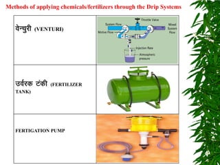 osUpqjh (VENTURI)
moZjd Vadh (FERTILIZER
TANK)
FERTIGATION PUMP
Methods of applying chemicals/fertilizers through the Drip Systems
 