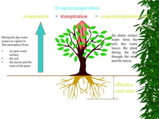 effective
root zone
evaporation transpiration
+ = evapotranspiration (ET )
Evapotranspiration
the plants extract
water from the
soil; this water
leaves the plant
during the day
through the stem
and the leaves
• an open water
surface
• the soil
• the leaves and the
stem of the plant
During the day water
ecapes as vapour to
The atmosphere from:
 