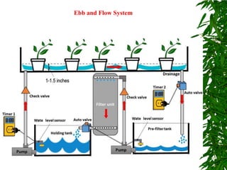 Ebb and Flow System
 