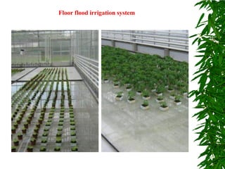 Floor flood irrigation system
 