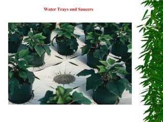 Water Trays and Saucers
 