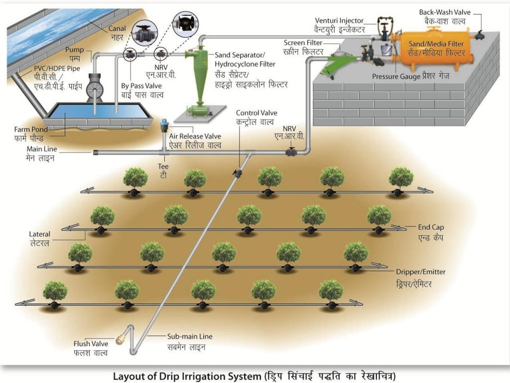 IRRIGATION SYSTEMS IN GREENHOUSE