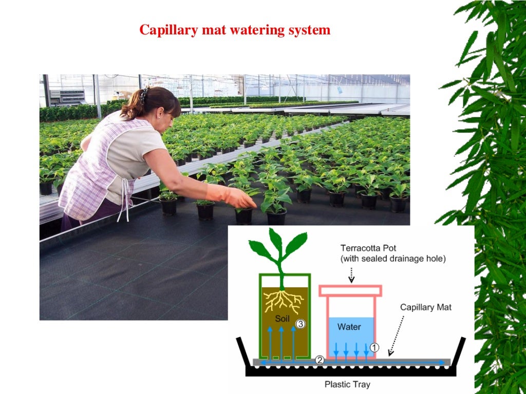 IRRIGATION SYSTEMS IN GREENHOUSE