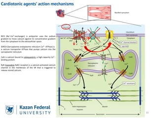 Lecture 9. Cardiotonic and antiarrhythmic drugs.pdf