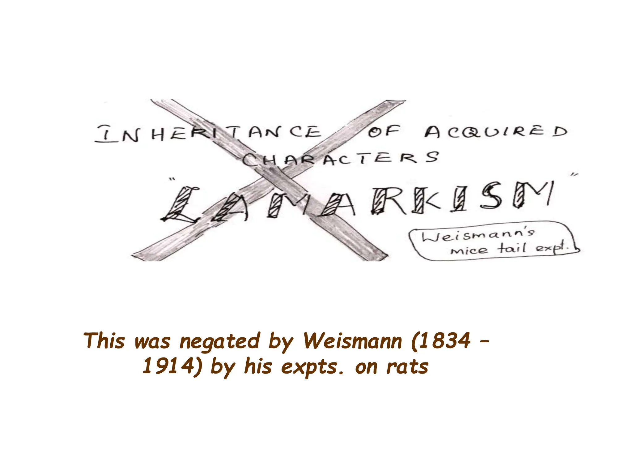 This was negated by Weismann (1834 –
1914) by his expts. on rats
 