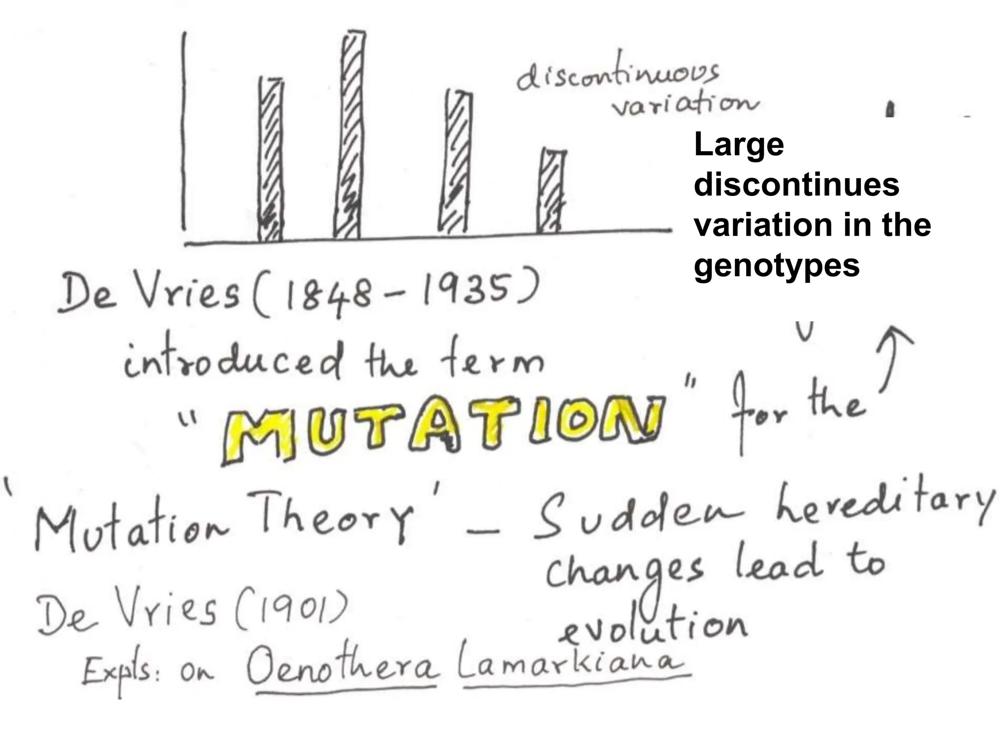 Large
discontinues
variation in the
genotypes
 
