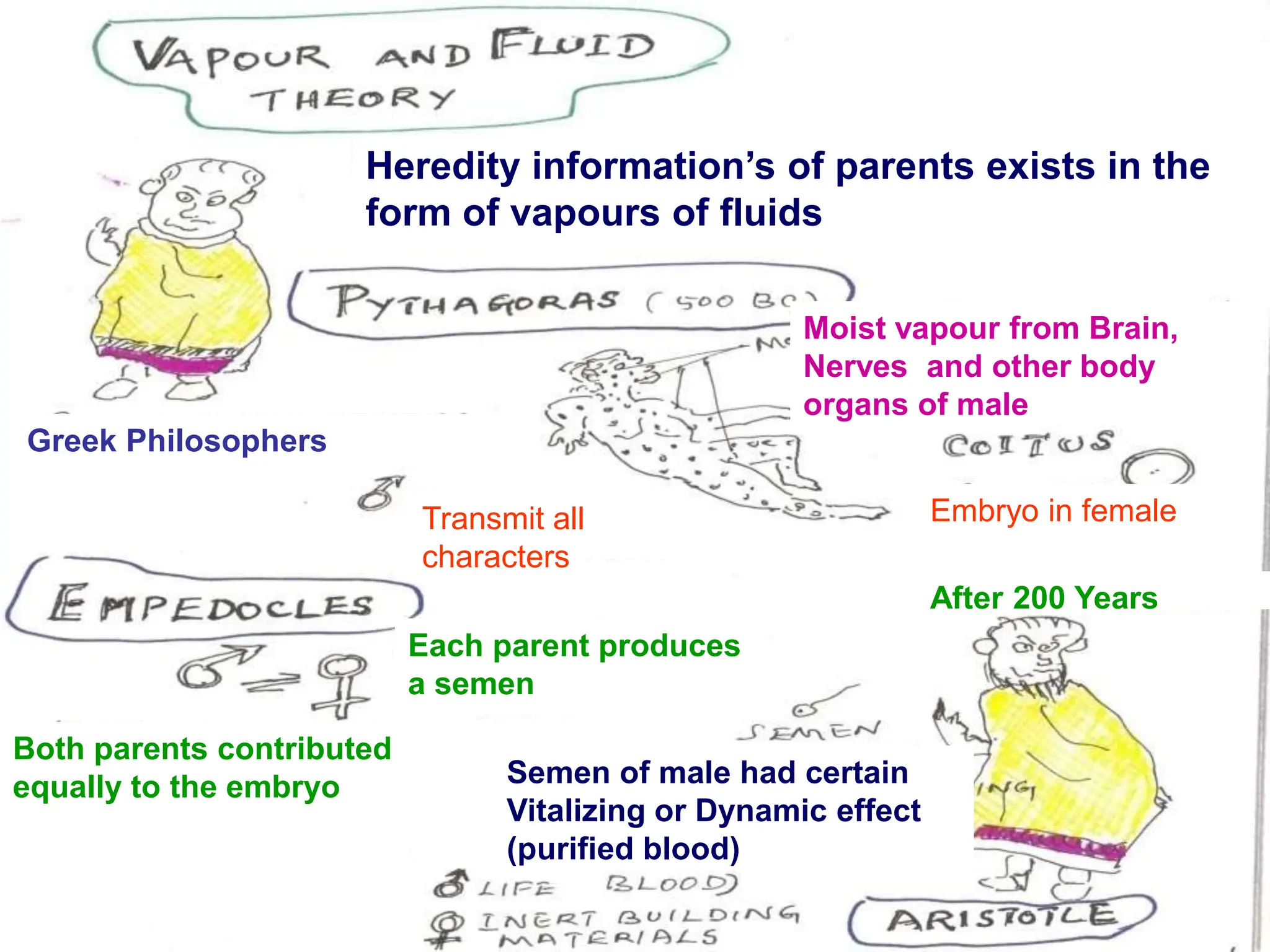 Heredity information’s of parents exists in the
form of vapours of fluids
Both parents contributed
equally to the embryo
Greek Philosophers
After 200 Years
Transmit all
characters
Each parent produces
a semen
Moist vapour from Brain,
Nerves and other body
organs of male
Embryo in female
Semen of male had certain
Vitalizing or Dynamic effect
(purified blood)
 