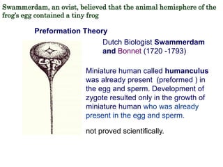 Preformation PRE MENDELIAN IDEAS ABOUT HEREDITY- VAPOUR THEORY | PPT
