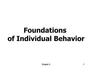 Foundations  of Individual Behavior 