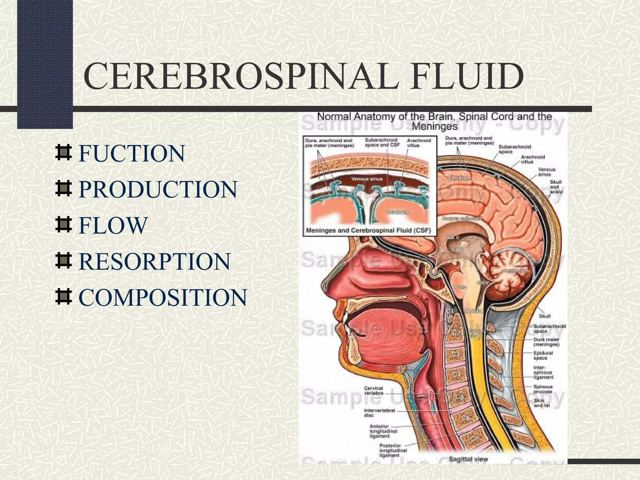 CEREBROSPINAL FLUID
FUCTION
PRODUCTION
FLOW
RESORPTION
COMPOSITION

 
