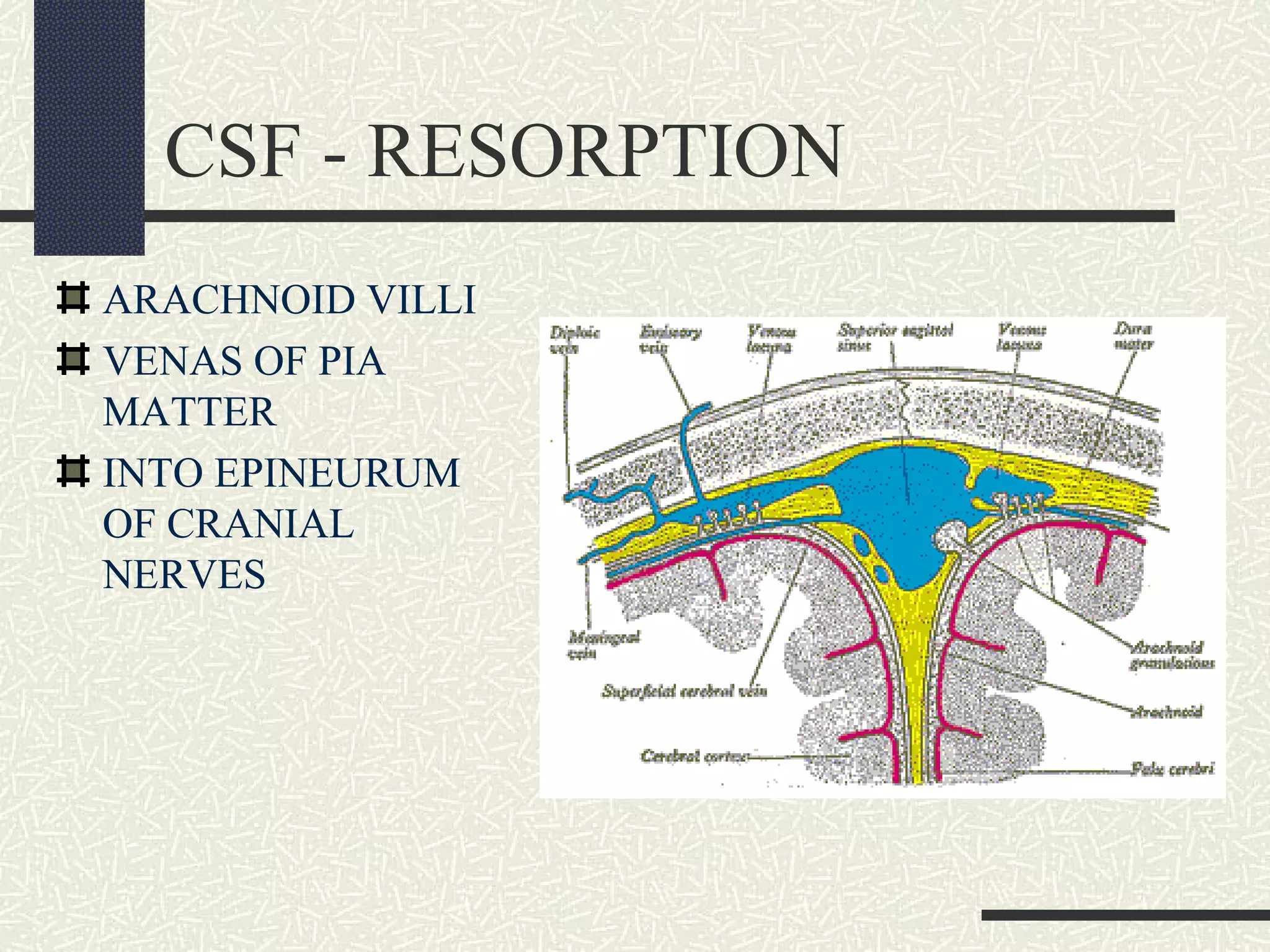 CSF - RESORPTION
ARACHNOID VILLI
VENAS OF PIA
MATTER
INTO EPINEURUM
OF CRANIAL
NERVES

 