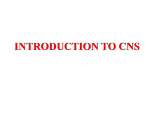 INTRODUCTION TO CNS
 
