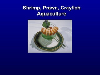 Shrimp, Prawn, CrayfishShrimp, Prawn, Crayfish
AquacultureAquaculture
 