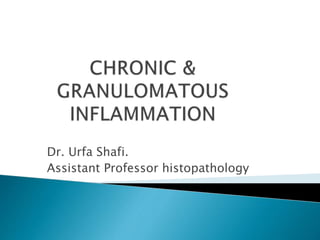 Dr. Urfa Shafi.
Assistant Professor histopathology
 