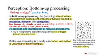 Lecture 9- Human information Processing (Part 1) 02-14-23.pdf