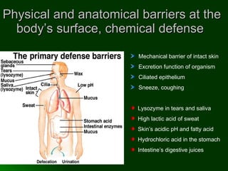Physical and anatomical barriers at the body’s surface, chemical defense  Mechanical barrier of intact skin  Excretion function of organism  Ciliated epithelium  Sneeze, coughing Lysozyme in tears and saliva  High lactic acid of sweat  Skin’s acidic pH and fatty acid Hydrochloric acid in the stomach  Intestine’s digestive juices 