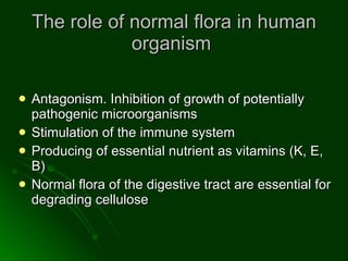 The role of normal flora in human organism  Antagonism. Inhibition of growth of potentially pathogenic microorganisms  Stimulation of the immune system  Producing of essential nutrient as vitamins (K, E, B) Normal flora of the digestive tract are essential for degrading cellulose  