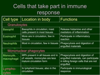 Cells that take part in immune response  Participate in immunological responce In lymphoid tissues; also in the circulation  Lympho-cytes Phagocytosis and digestion of engulfed materials, can participate in killing foreign cells that are not engulfed MPh present in all tissues and in of vessels, monocytes are less mature circulation form Monocyte, macrophage Mononuclear phagocytes  Phagocytosis and digestion of engulfed materials Most in circulation, few in tissues Neutrophils Participate in inflammatory reaction More are in circulation, few in tissues Eosinophil Release histamine and other mediators of inflammation  Basophils in circulation; mast cells present in most tissues  Basophil Granulosytes Functions  Location in body Cell type 