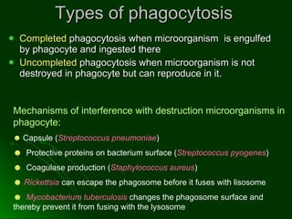 Types of phagocytosis  Completed  phagocytosis when microorganism  is engulfed by phagocyte and ingested there Uncompleted  phagocytosis when microorganism is not destroyed in phagocyte but can reproduce in it.  Mechanisms of interference with destruction microorganisms in phagocyte: Capsule ( Streptococcus pneumoniae ) Protective proteins on bacterium surface ( Streptococcus pyogenes ) Coagulase production ( Staphylococcus aureus ) Rickettsia  can escape the phagosome before it fuses with lisosome Mycobacterium tuberculosis  changes the phagosome surface and thereby prevent it from fusing with the lysosome 