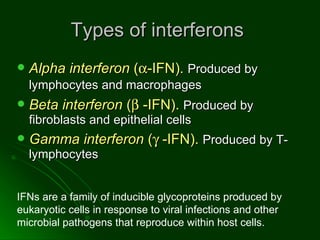 Types of interferons  Alpha interferon  (  -IFN).   Produced by lymphocytes and macrophages   Beta interferon  (    -IFN).   Produced by fibroblasts and epithelial cells Gamma interferon  (    -IFN).   Produced by T-lymphocytes  IFNs are a family of inducible glycoproteins produced by eukaryotic cells in response to viral infections and other microbial pathogens that reproduce within host cells.  