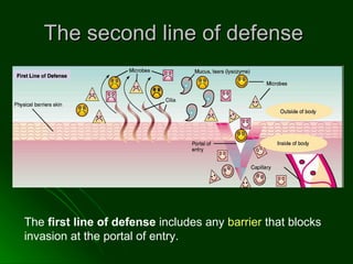 The second line of defense  The  first line of defense  includes any  barrier  that blocks invasion at the portal of entry.   