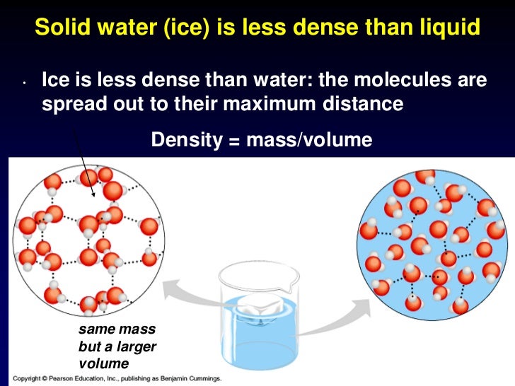 Lecture 9. properties of water