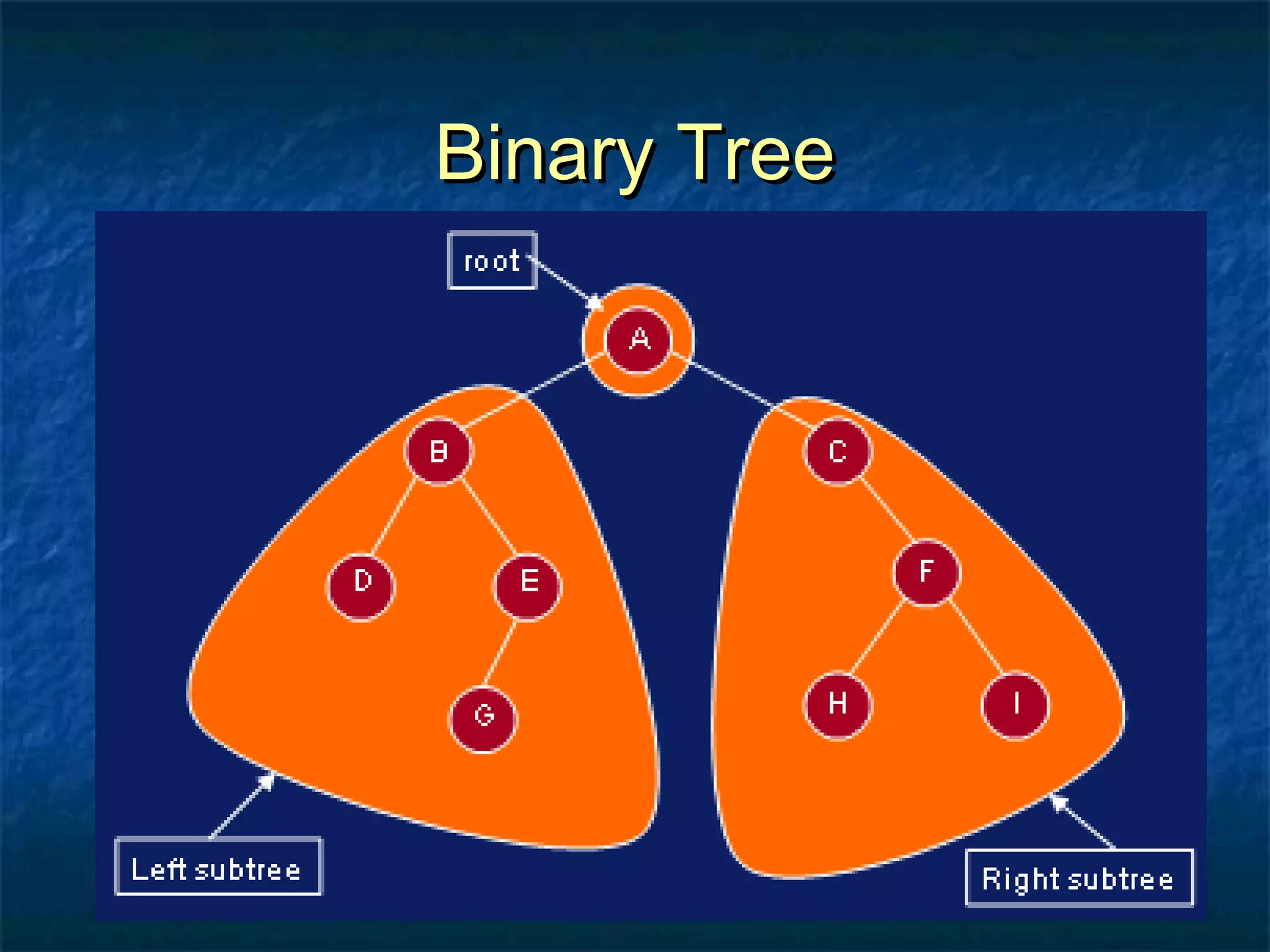 Binary TreeBinary Tree
 