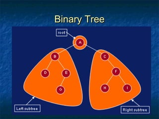 Binary TreeBinary Tree
 