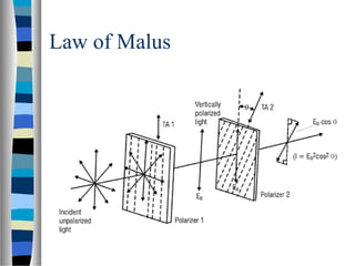 Law of Malus
 