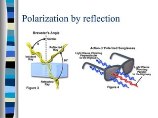 Polarization by reflection
 