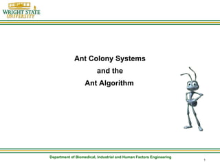 Ant Colony Systems and the Ant Algorithm   