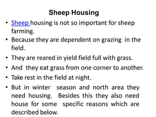 Sheep Housing
• Sheep housing is not so important for sheep
farming.
• Because they are dependent on grazing in the
field.
• They are reared in yield field full with grass.
• And they eat grass from one corner to another.
• Take rest in the field at night.
• But in winter season and north area they
need housing. Besides this they also need
house for some specific reasons which are
described below.
 