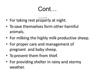 Cont…
…..
• For taking rest properly at night.
• Tosave themselves form other harmful
animals.
• For milking the highly milk productive sheep.
• For proper care and management of
pregnant and baby sheep.
• Toprevent them from thief.
• For providing shelter in rainy and stormy
weather.
 
