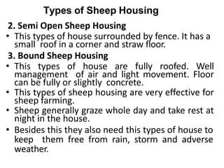 Types of Sheep Housing
2. Semi Open Sheep Housing
• This types of house surrounded by fence. It has a
small roof in a corner and straw floor.
3. Bound Sheep Housing
• This types of house are fully roofed. Well
management of air and light movement. Floor
can be fully or slightly concrete.
• This types of sheep housing are very effective for
sheep farming.
• Sheep generally graze whole day and take rest at
night in the house.
• Besides this they also need this types of house to
keep them free from rain, storm and adverse
weather.
 